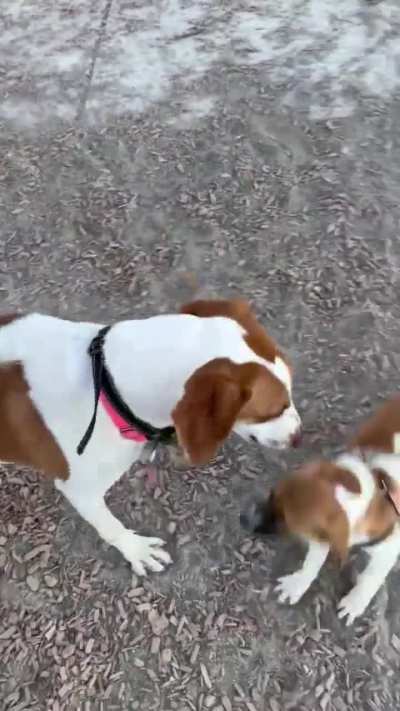 Meeting mini me