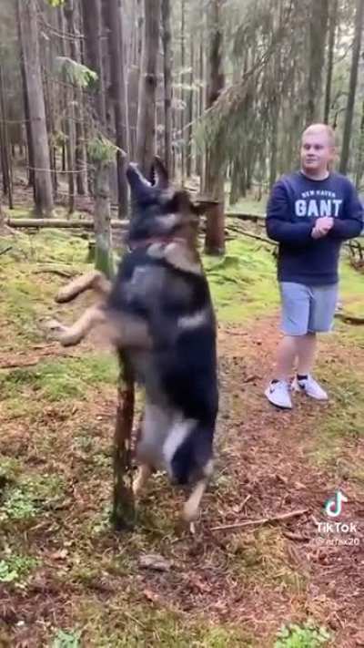 Maybe maybe maybe