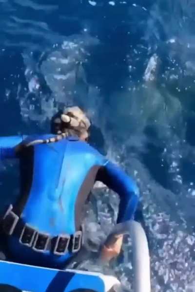 🔥 A diver's close encounter of the Jaws kind.