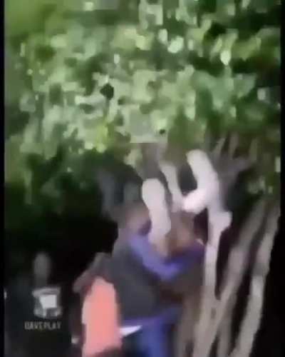 Algu&eacute;m entende?