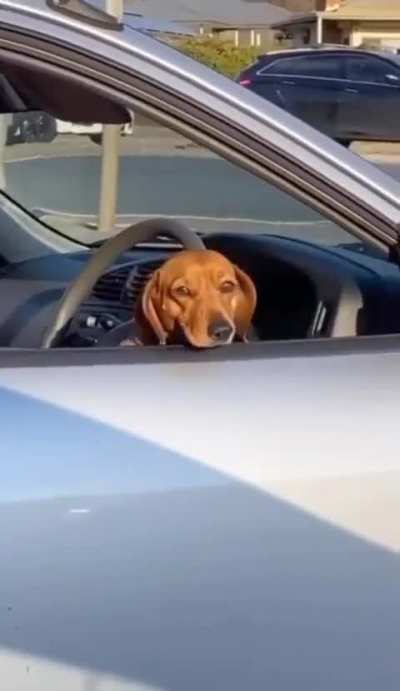 Excuse me!!