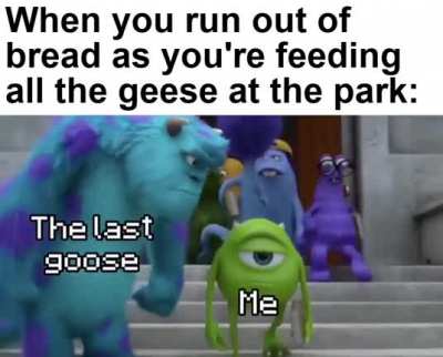 I couldn't feed em all