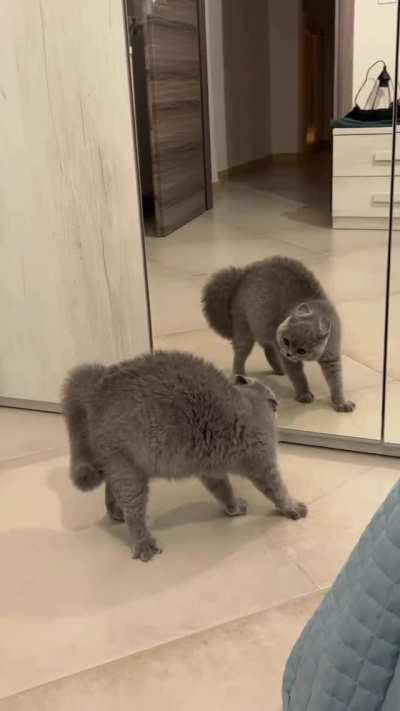 Who is that?