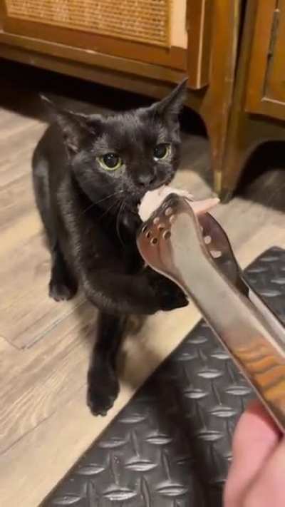 greedy wunk