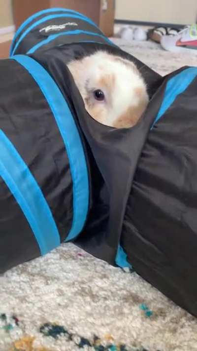 Peek-a-boo