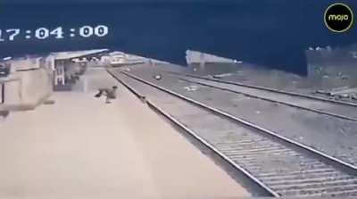 Man helps blind mother by saving her child from getting run over by a speeding train!