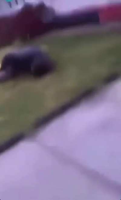 How NOT to get down off the roof
