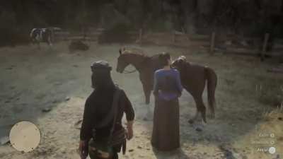 Our horse isn&rsquo;t happy