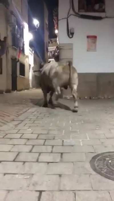 There&rsquo;s a bull coming