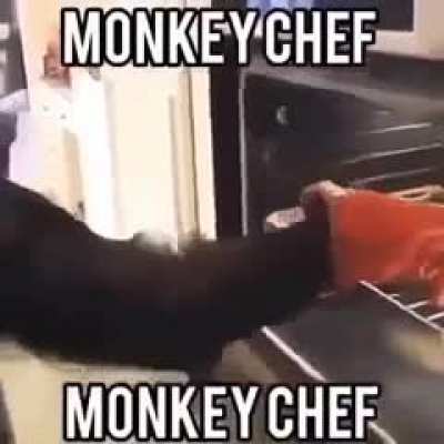 MONKEY CHEF