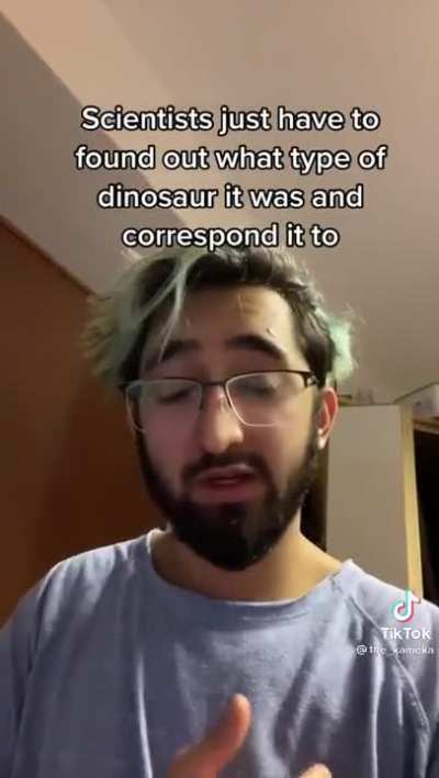 Basic palaeontology.