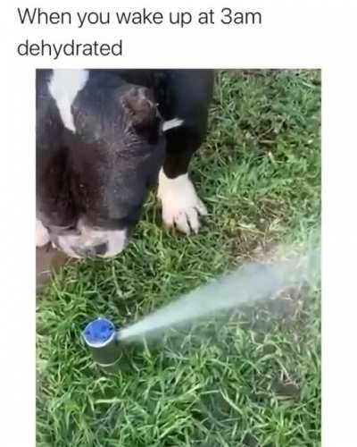 me_irl