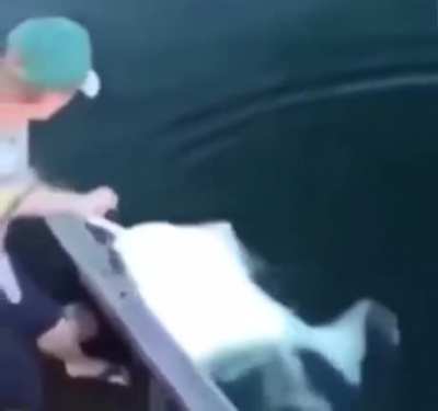 Gangstar fishing