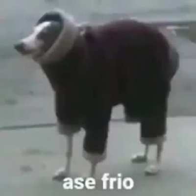 As&eacute; frio ac&aacute; en el puerto