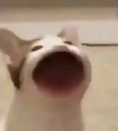 get away