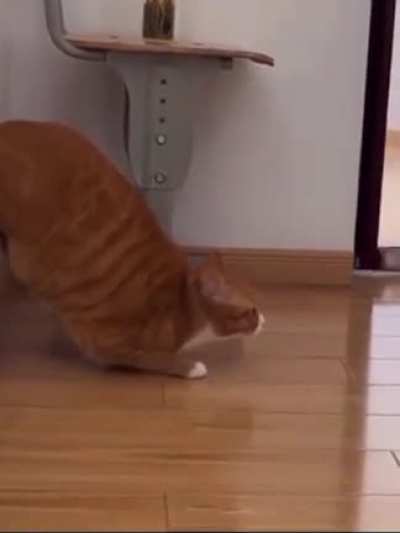 Fat and fast