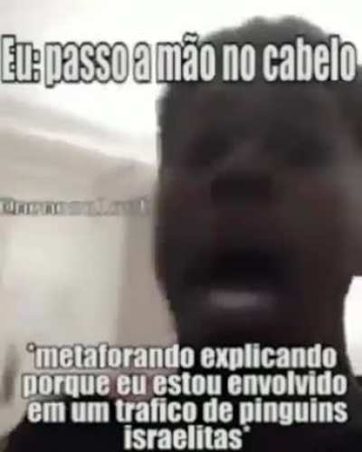 ABELHA TRAFICANTE