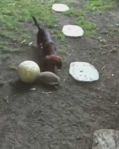Футбол