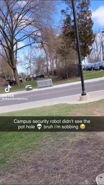 Robo scream