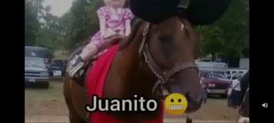 Juan 🤑🤑🤑