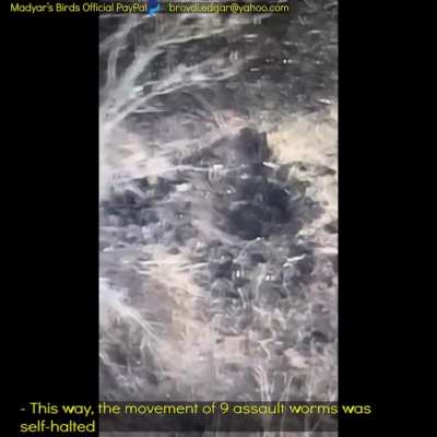 Madyar - UA drone recon. Observing ru friendly fire and efficiently destroying their assault group with the help of the 45th separate artillery brigade. PART 2. 21 Jan. Subtitled