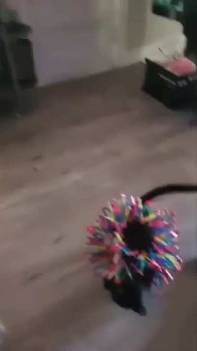 how