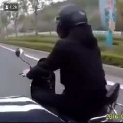 penis