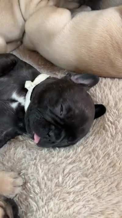 It&rsquo;s nap time for our little sweethearts!