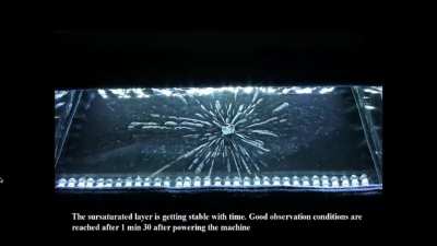 Put some Uranium 238 in a Cloud Chamber, so we can see the Radioactive particles.
