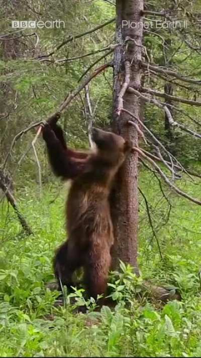 Scratchin&rsquo;