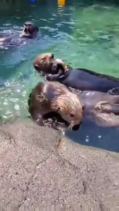 Ты: Написал остроумный комментарий. Весь реддит: