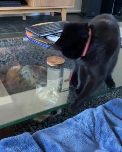 To hit the big cat