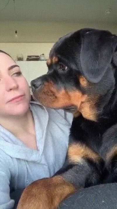 Девушка и собакен