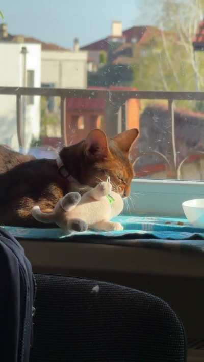 she and her toy