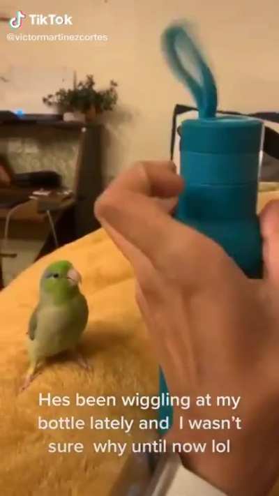Lil birp wriggling