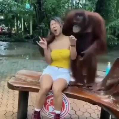 Happy monkey