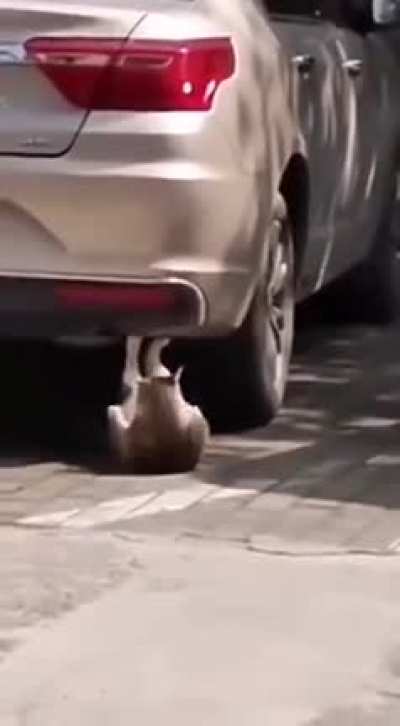 КОТчок