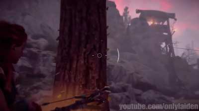 You also can see some colonies of leaf-cutting ants climbing up and down the trees in Horizon.