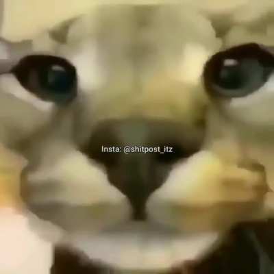 '-'