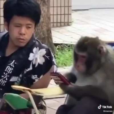 Just a human and a monkey.. chilling.