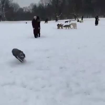 I'm fast as fuck boi
