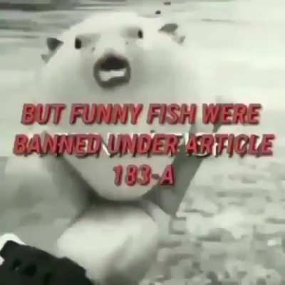 rule