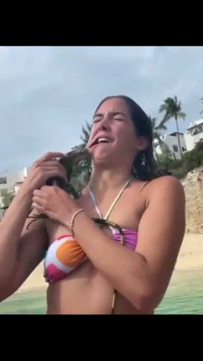 Using a reptile for your Instagram pic, WCGW?