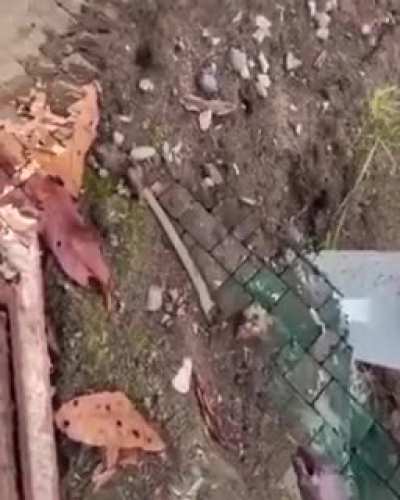 Don&rsquo;t know if this has been posted already, (apologies if it has) thought it might be enjoyed here.