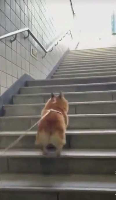 Hop hop hop hop hop hop hop hop hop hop hop