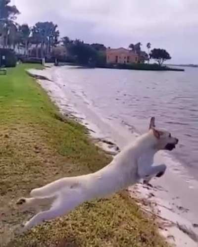 when he came to the sea for the first time in a year