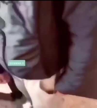 rule