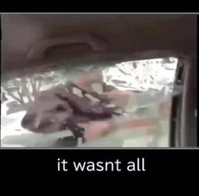 it wasn’t all