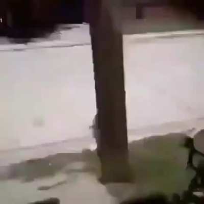 Alias el cumbia ninja