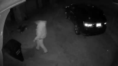 My mom sent me this security footage of my boyfriend falling down drunk at her house and I can&rsquo;t stop laughing
